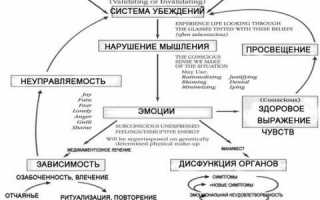 Лекарства для сосудов головного мозга список