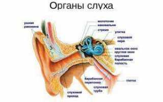 Закладывает в ушах: заболевания, причины и лечение